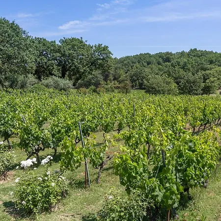 Domaine Les Roullets Bed & Breakfast 3*